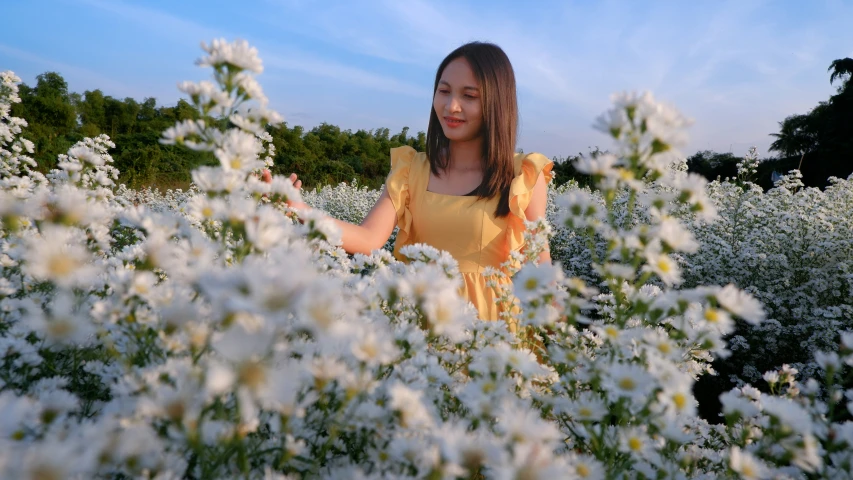 a woman standing in a field of white flowers