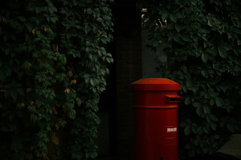 a fire hydrant that is red sitting next to some bushes