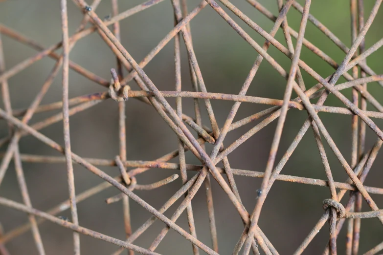 a bunch of twigs are in different colors