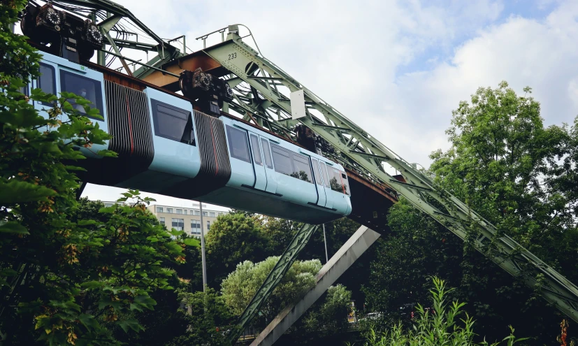 the high - rise railroad train is above the trees and bushes