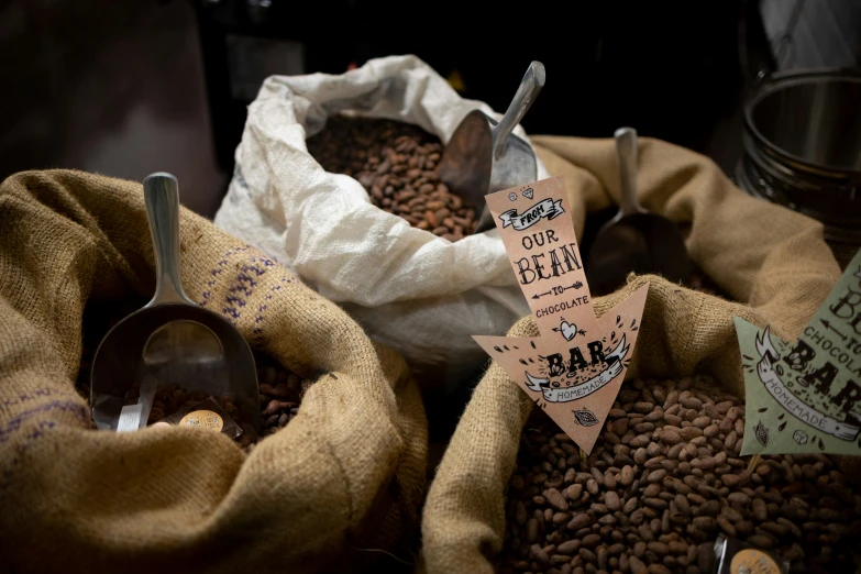 bags of coffee beans and coffee spoons are displayed