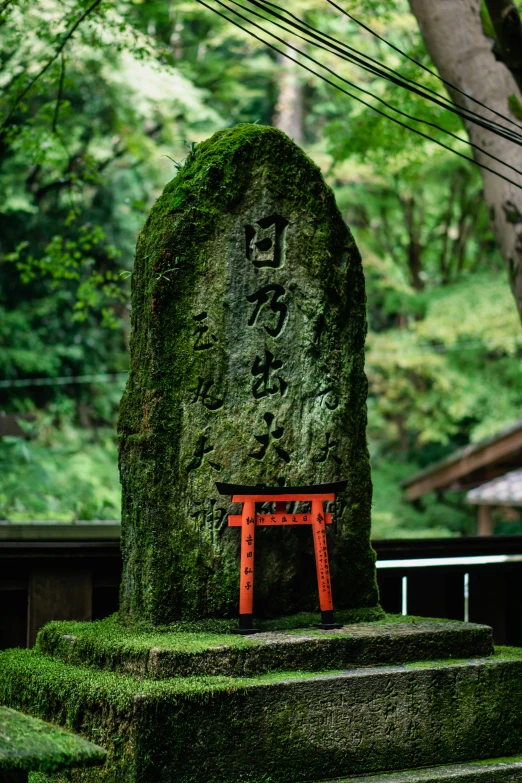 an image of a chair in the garden