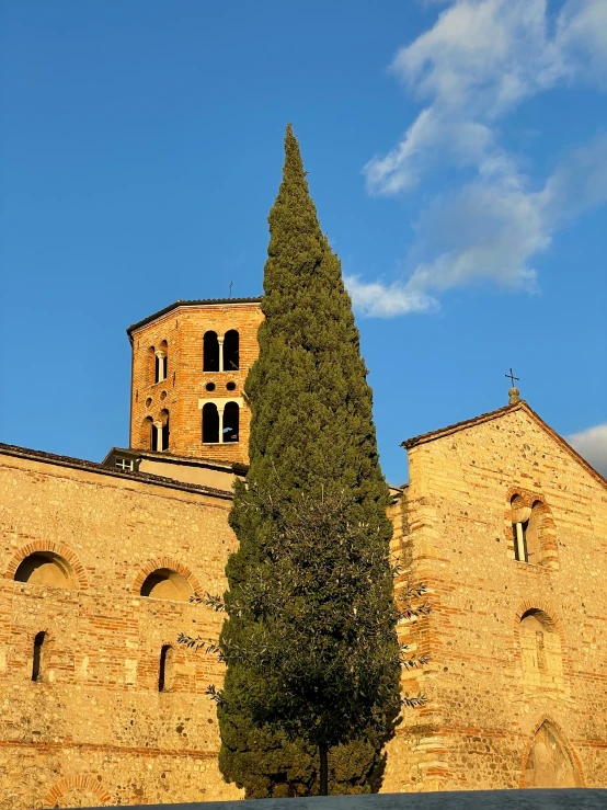 a view of an old building with a very tall tree