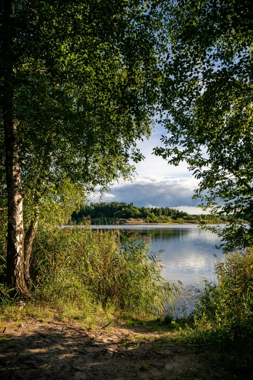 the landscape is near a body of water, with green trees and clouds in the sky