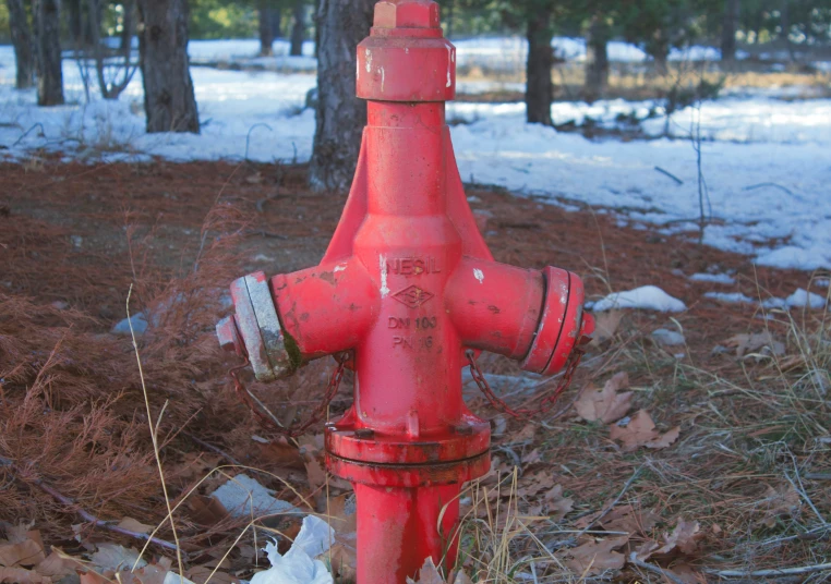 an old red fire hydrant sits in the middle of the woods