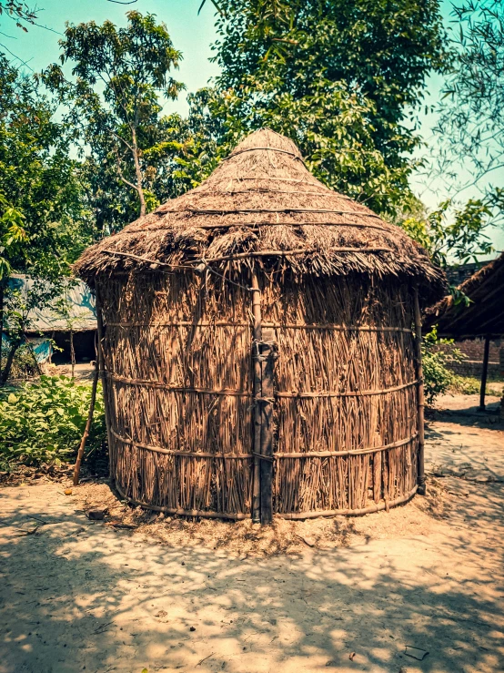 there is a hut made of straw and some green trees