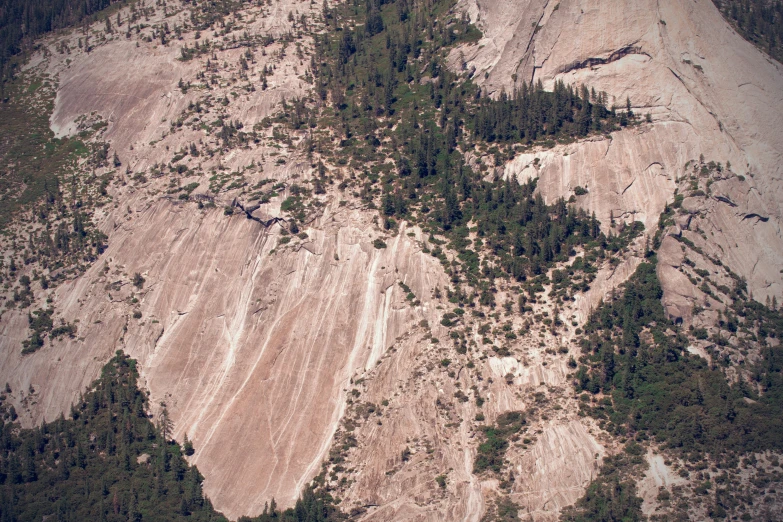 aerial view of a large desert filled with trees