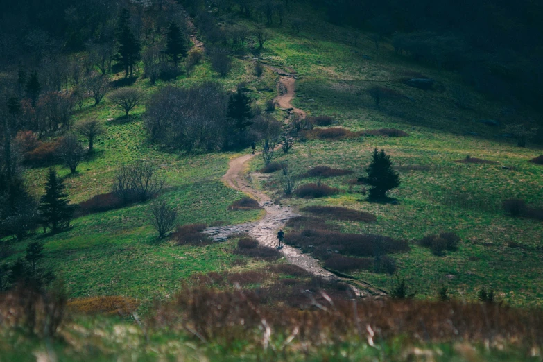 a dirt road is winding down a grassy mountain