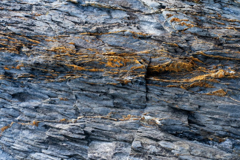 the black rock has some green plants growing on it