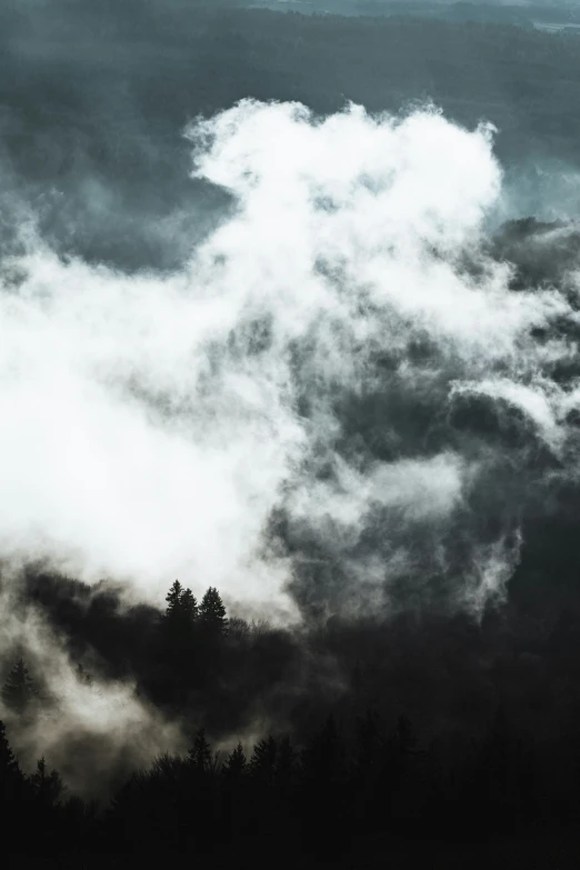 a black and white po with clouds and trees