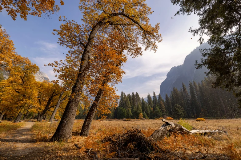 a path through an autumn forest with trees and tall mountains