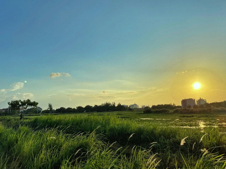 a body of water sitting on top of a lush green field