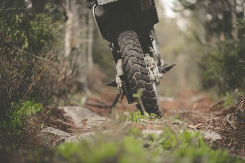 a motorcyclist driving through a wooded trail in the forest