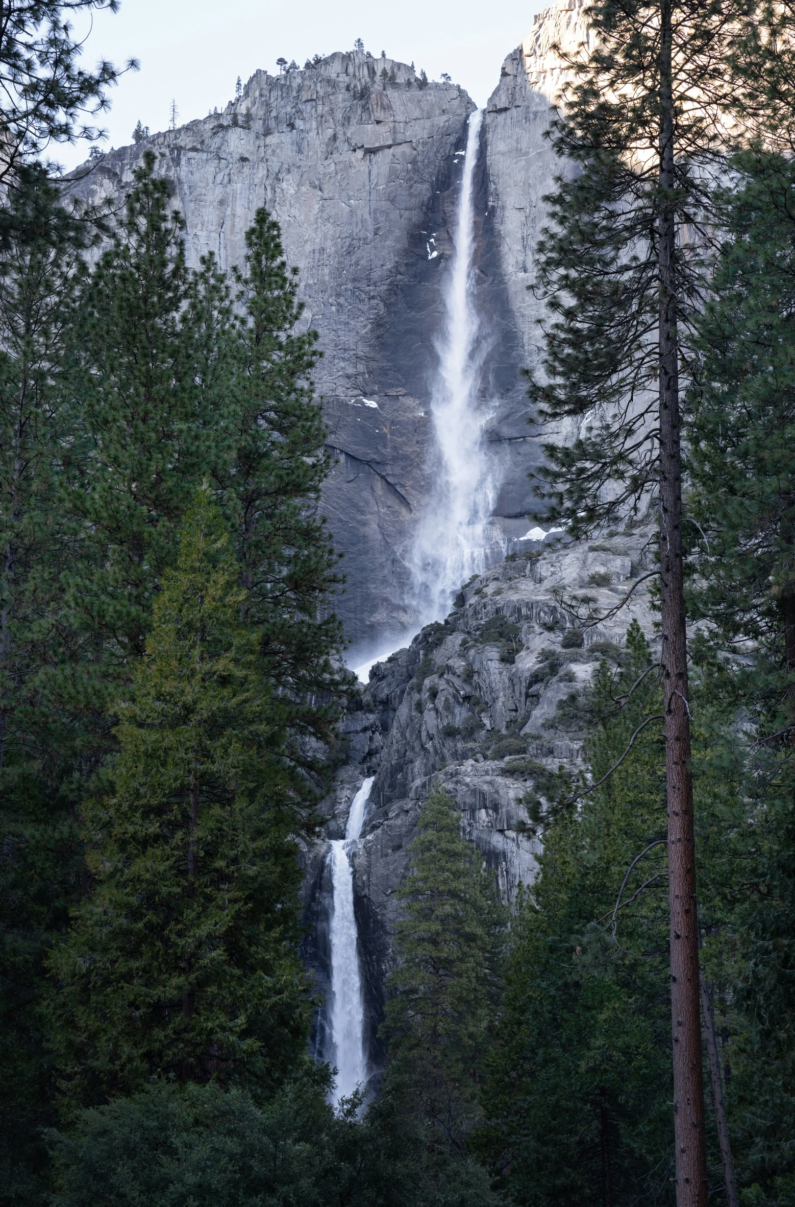 a group of people standing by a waterfall in the woods