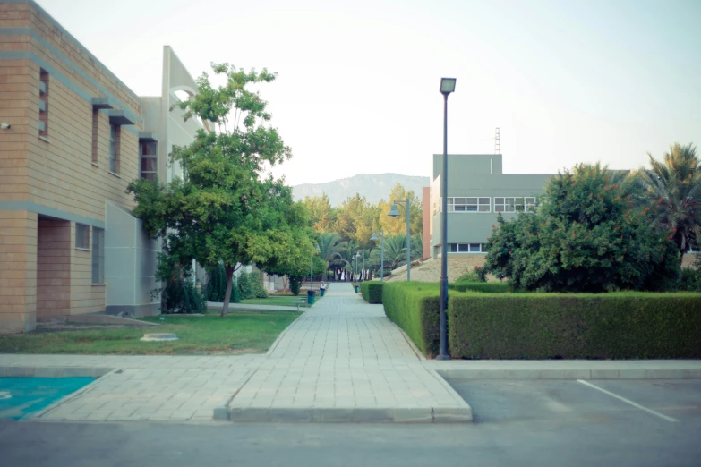 a wide walkway between buildings and trees is shown