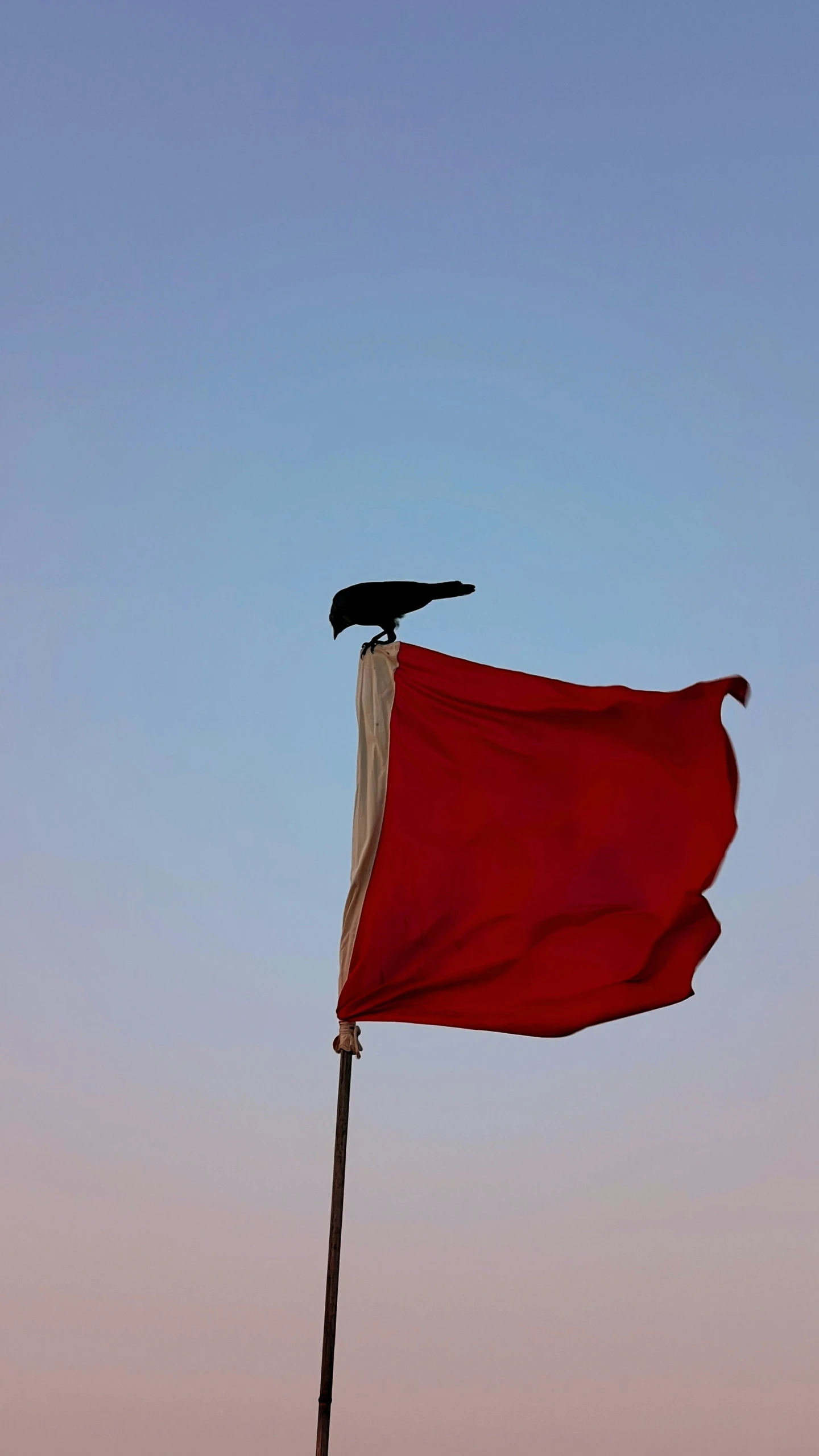 a bird sitting on top of a large red flag