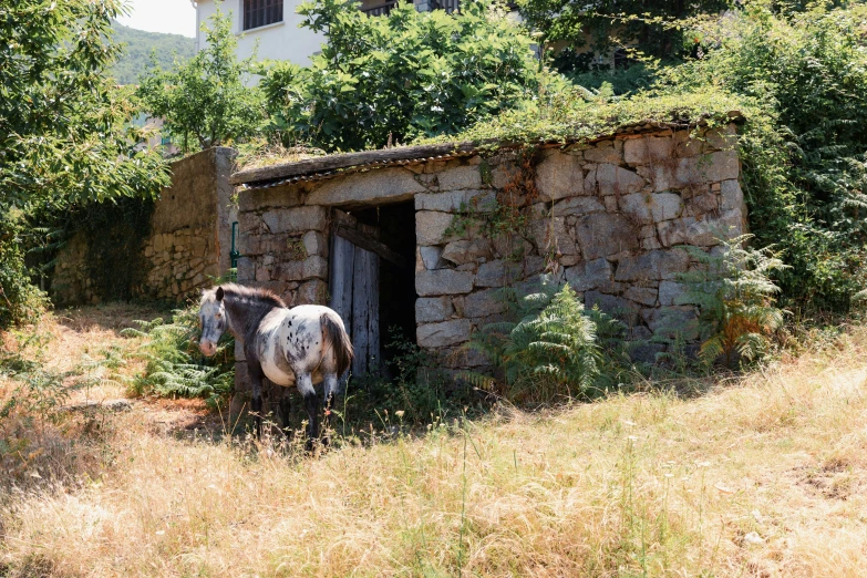 the horse is standing outside of a small stone house