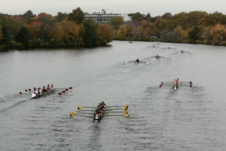 several people wearing rowing suits with oars in the water