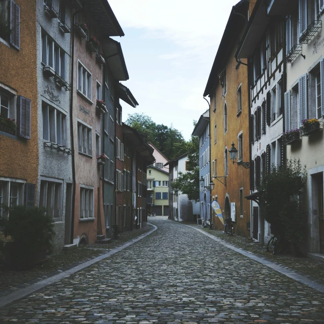 cobblestone road between colorful buildings and trees