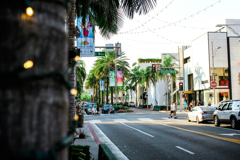 an intersection in a small tropical town with street lights and palm trees