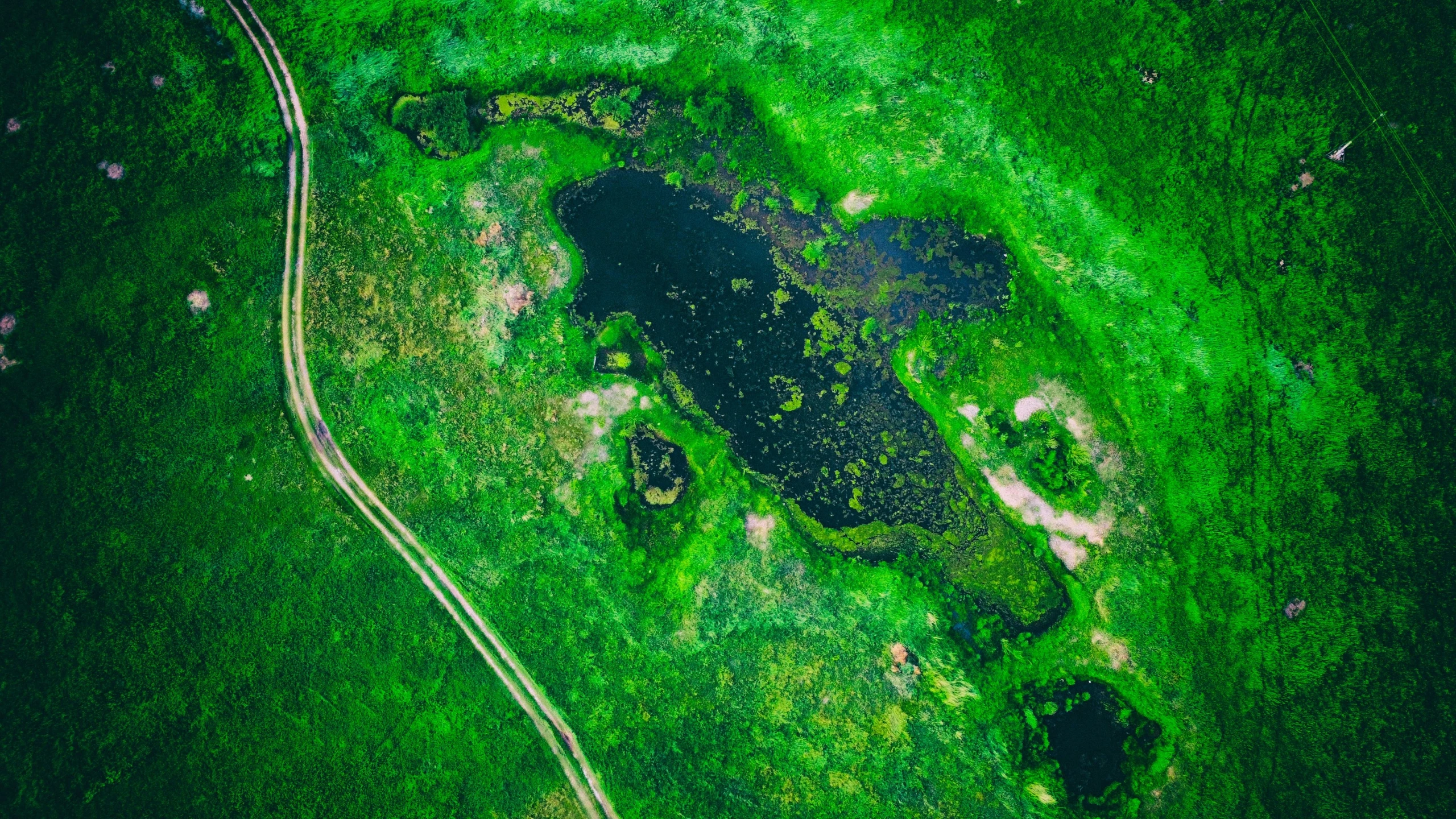 the aerial po shows a grassy field with trees