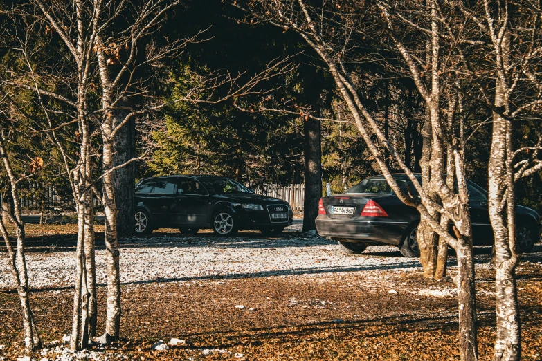 parked cars in a parking lot among tall trees