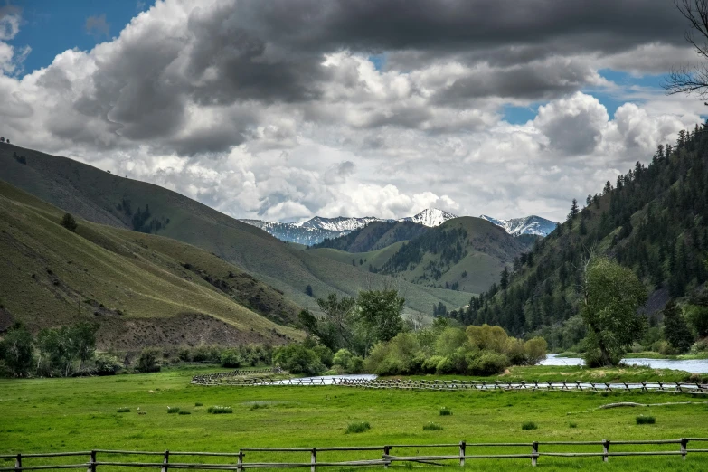 a beautiful meadow with mountains in the background