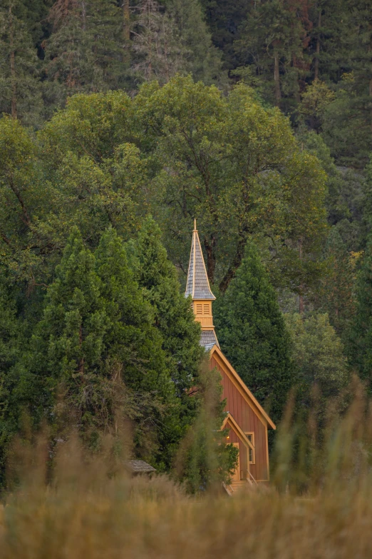 a church steeple is seen near a wooded area