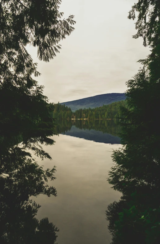 trees surrounding a lake with a mountain in the background