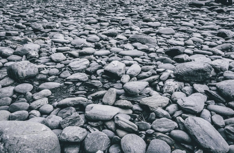 some rocks near the water with trees in the background