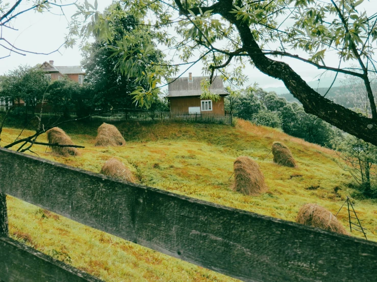 a lush green hillside covered in lots of hay