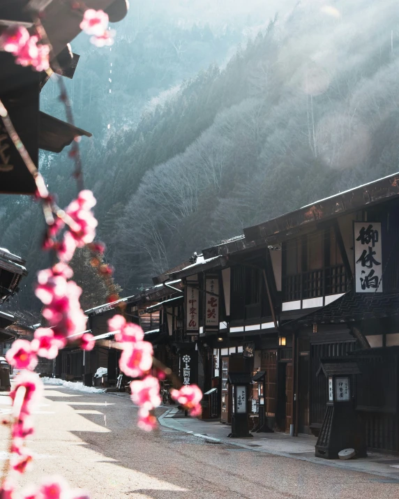 flowers hanging from a tree with a mountain in the background