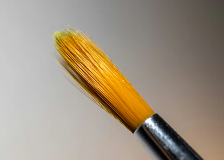 an artistic pograph of a paint brush