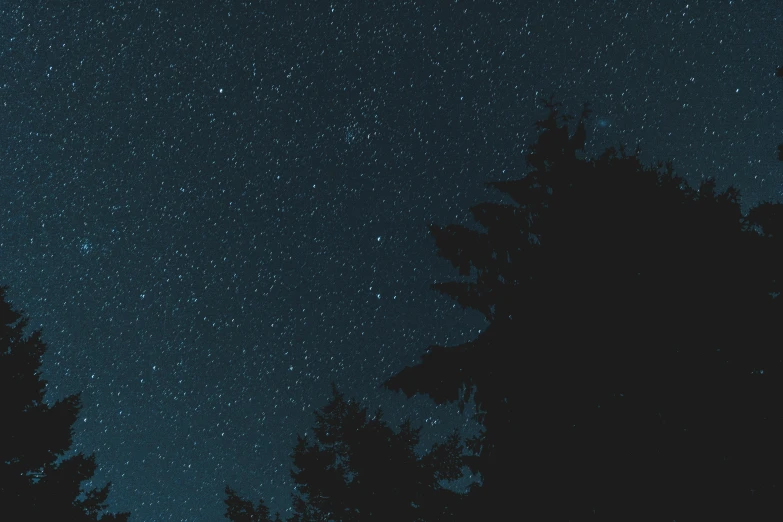 night sky with dark clouds and stars above treetops