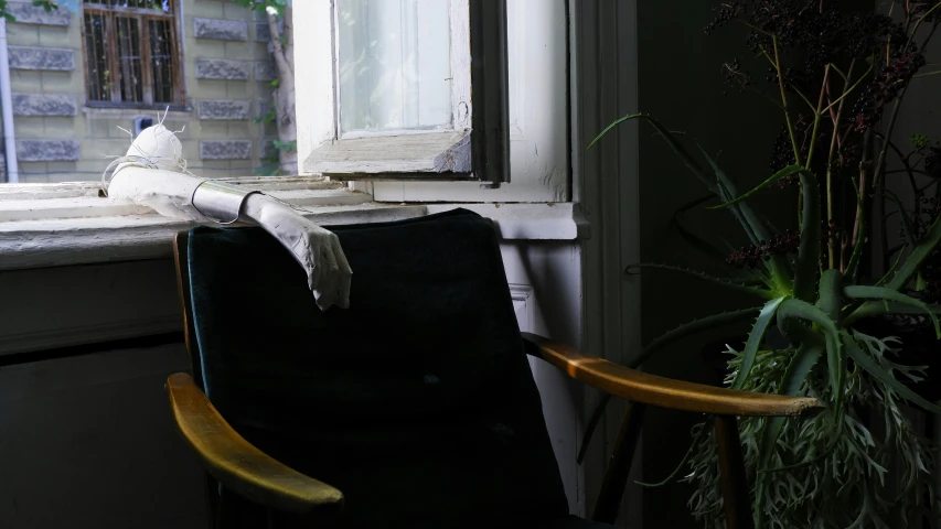 a small bird on the back of a chair sitting by the window