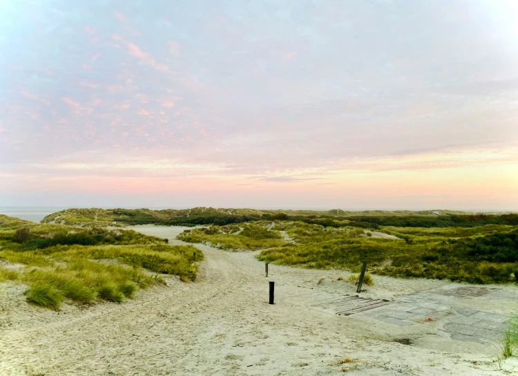 a long pathway leading to a beautiful beach