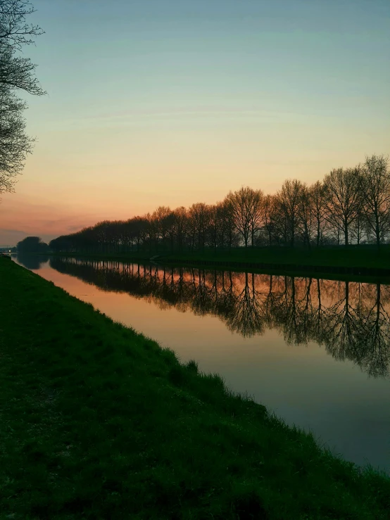 a very long tree line by a body of water