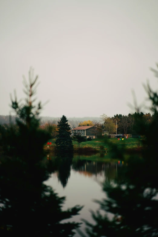 an outdoor view with some trees by a lake