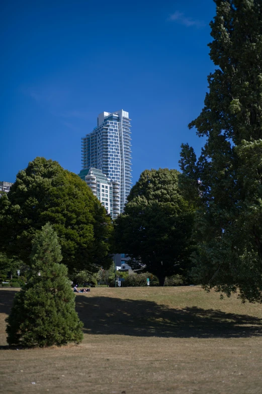 a view of skyscr from a park area