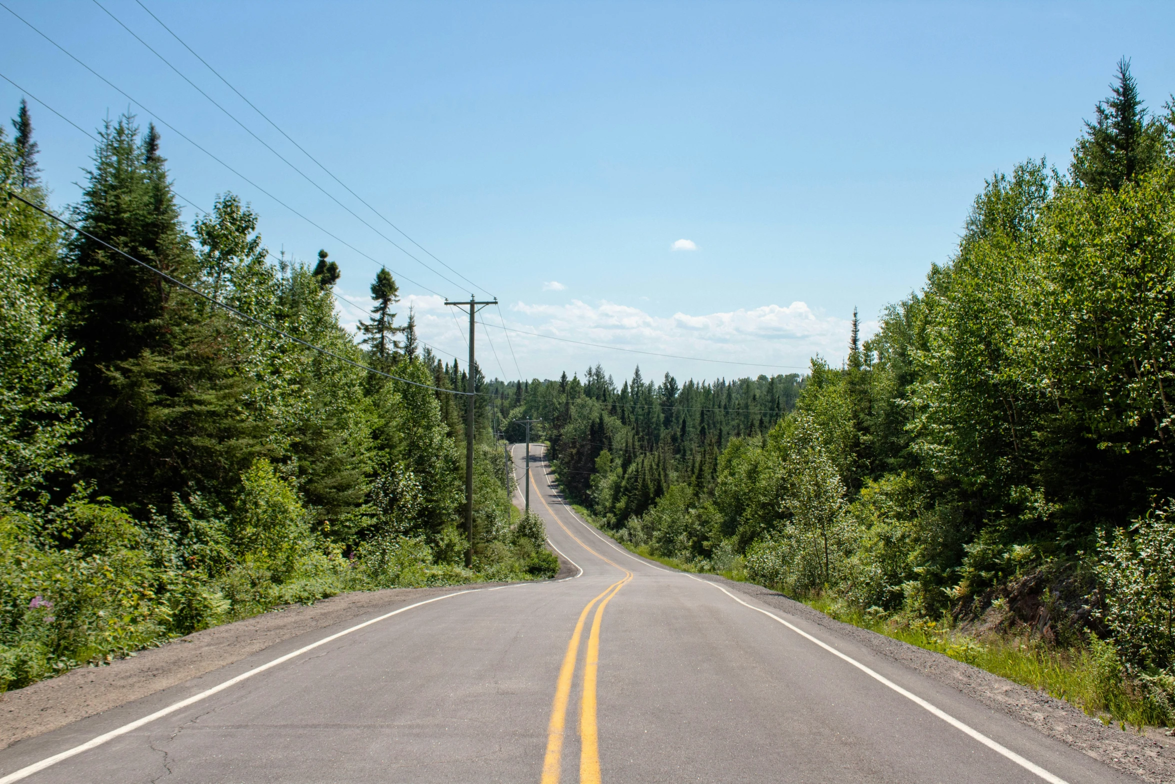 a road with some trees and one car