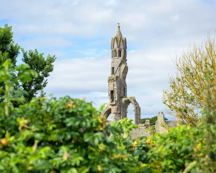 looking through a tree toward the remains of a destroyed church