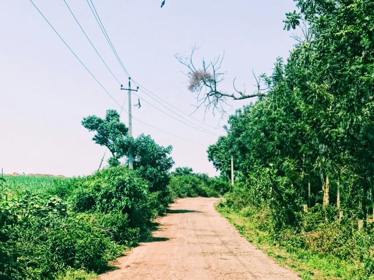 there is a dirt road leading towards the countryside