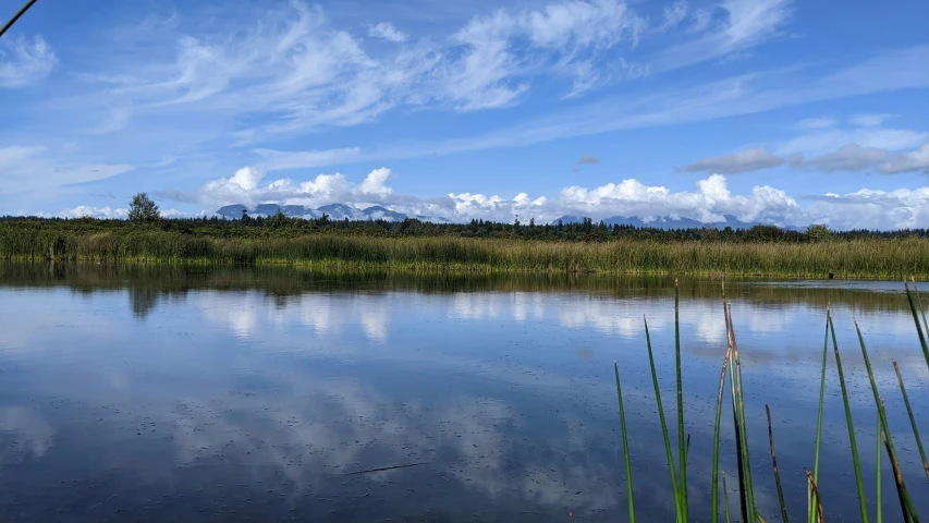 a pond that is surrounded by grass and water