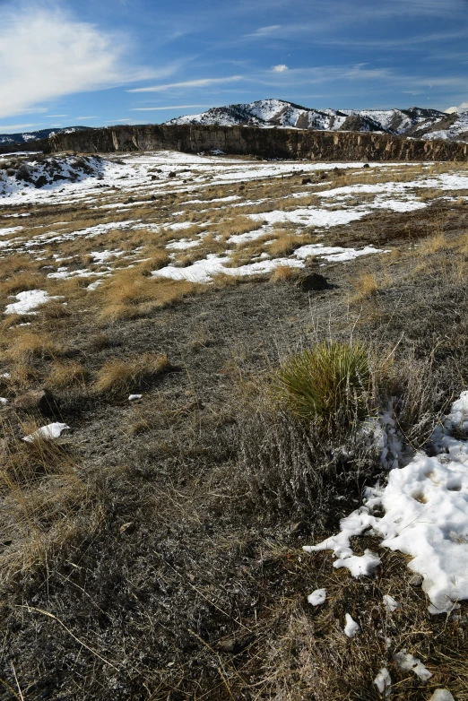 some grass snow bushes and mountains on a cloudy day