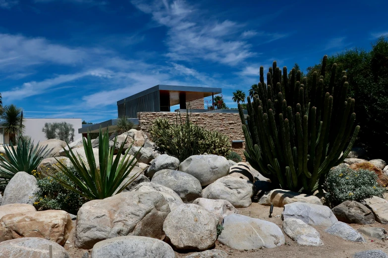 a rock bed in front of a house surrounded by cactus