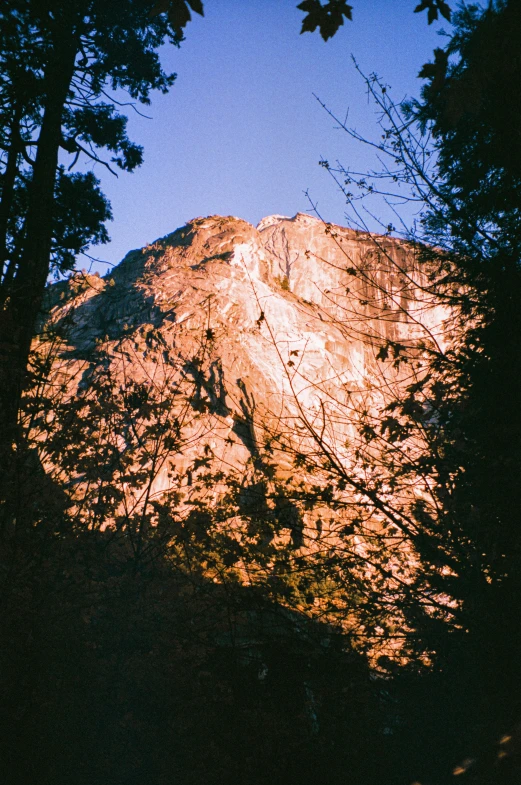 view of a rocky mountain with trees looking up