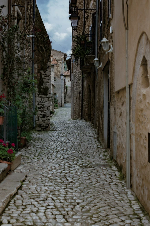 an alleyway in a small medieval town with flowers