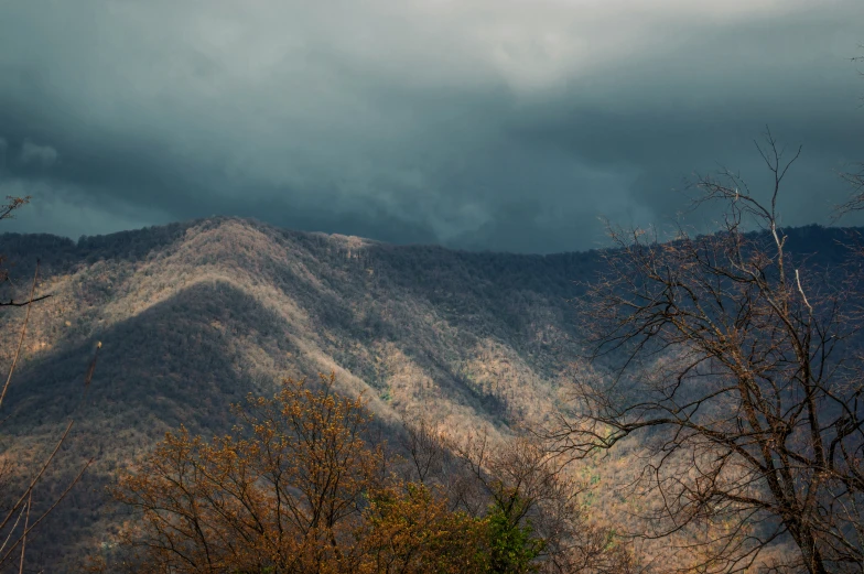 mountains covered in trees under cloudy skies