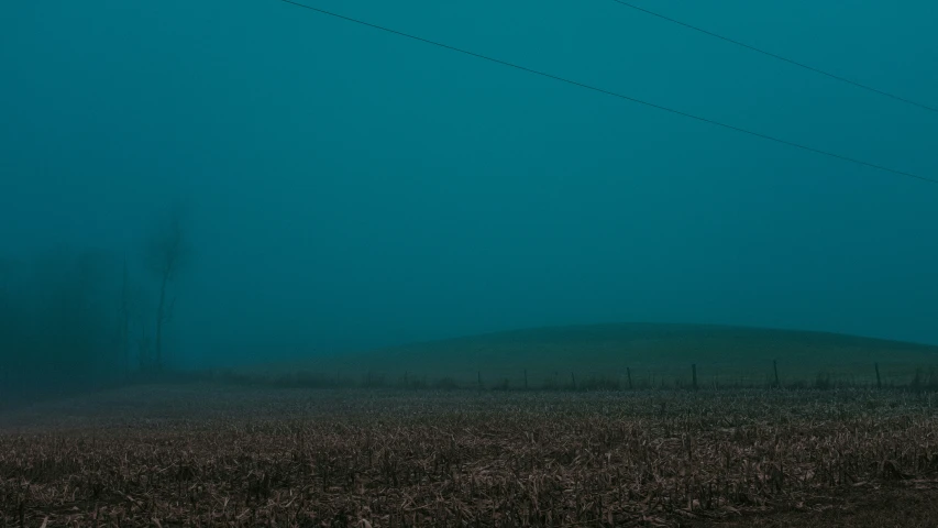 a grassy field with telephone wires above it