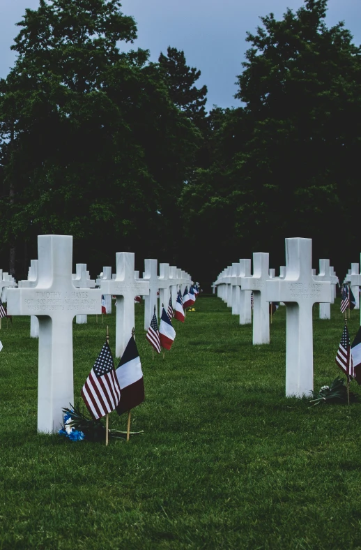 rows of crosses, with american flags placed in front